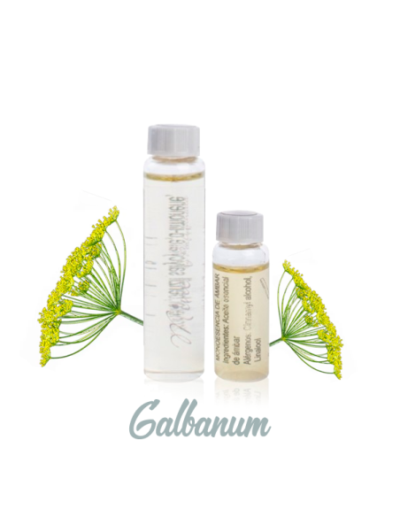 Monoesencia Galbanum